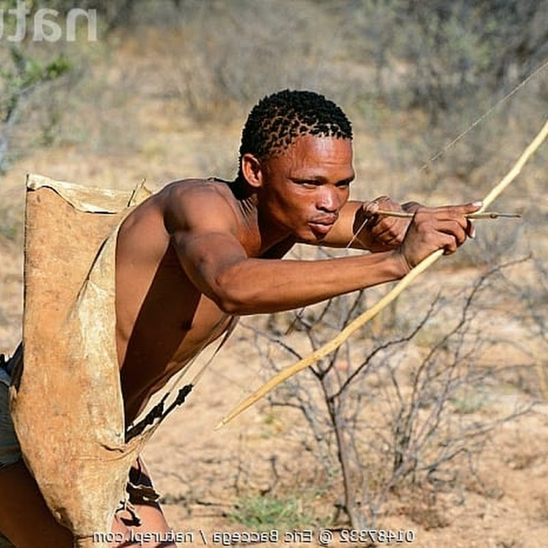 African hunting life0.1