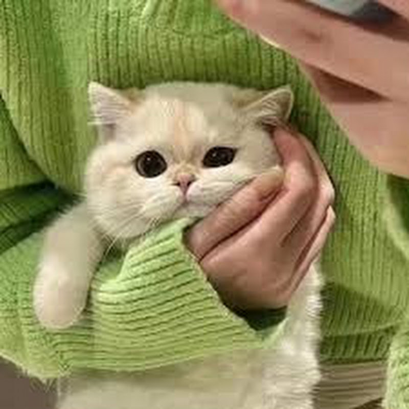 甜心故事会 Logo