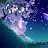 @alaafou2d306