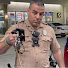 ZX732zBbJpo-channel-avatar-Florida Cop Cam
