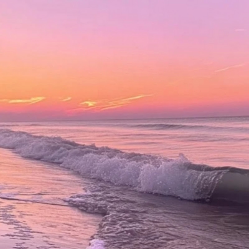 Hire posting anything — Lifestyle & Vlogs YouTube creator for sponsorships