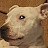 @slucas-b4f's avatar