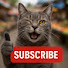 Y8TkYT0Sb6w-channel-avatar-Friendly Fur
