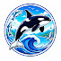 KmgYXrBx1qE-channel-avatar-4K Aquarium Color
