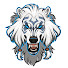 _en9zqU0fQE-channel-avatar-The Wolves of Avalon