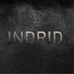 Indrid Casts net worth