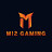 M12 Gaming