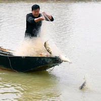 Profile Picture of 老刘炖鱼最鲜灵