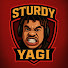 PHg99VNwo-Y-channel-avatar-Sturdyagi