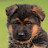 @HHolmgaard Avatar