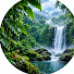B6ZhBcbtMdw-channel-avatar-Rainforest Vibes