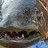 PESCA EN AGUA DULCE
