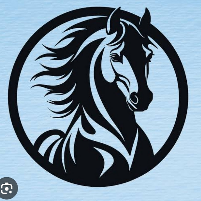 Hire tanush05gamer — Strategy & RTS Games YouTube creator for sponsorships