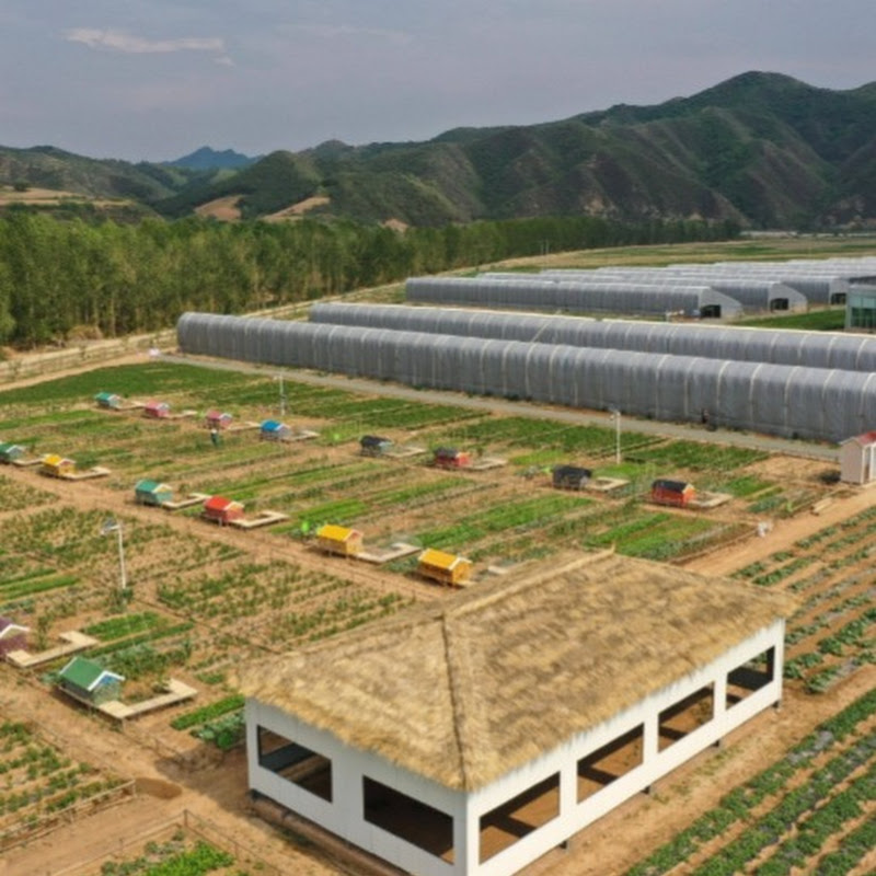 Interesting Tasty Farm