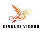 Divulge Videos logo