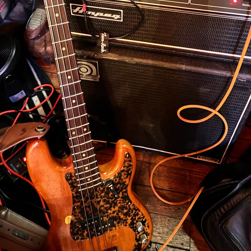 Steve The Bass Guy