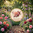 LgtkYmGOzg0-channel-avatar-Romantic Blossom Songs
