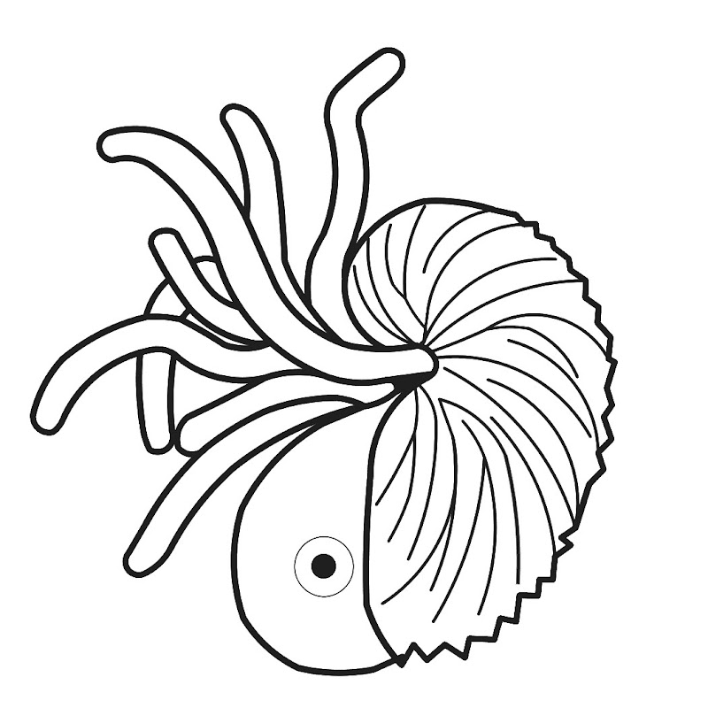 Argonaut