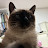 @미미-q1p-e4s