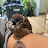 @jjack_sparrow