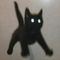 statcounts profile image