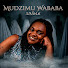 Uv873lOVSd4-channel-avatar-Amadhuve sasha - Topic