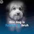 1vnK9MqDZfo-channel-avatar-Louie