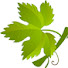 LZL4wb3dy2U-channel-avatar-Виноград в Минске