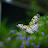 @donkey3081 Avatar