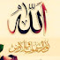 aBEntxlnizc-channel-avatar-المصحف الشريف _ تلاوات و خطب 