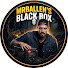 HywKuoQkrHc-channel-avatar-MrBallen's Black Box
