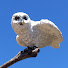 PMVywXJR9gA-channel-avatar-Observant Owl's Model Railroad