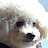 @황금마루-z2t