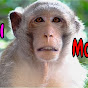 Viral Monkey logo