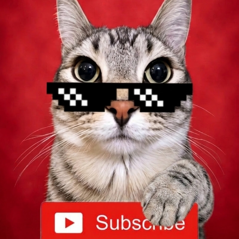 PetPerson Clip  profile avatar