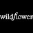 Wildflower Cases