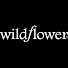 or61WAWCPFY-channel-avatar-Wildflower Cases