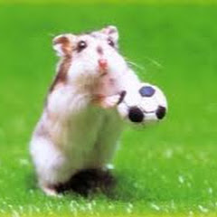 Good Mousetrap avatar