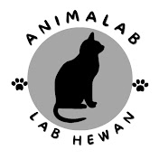 Animalab channel