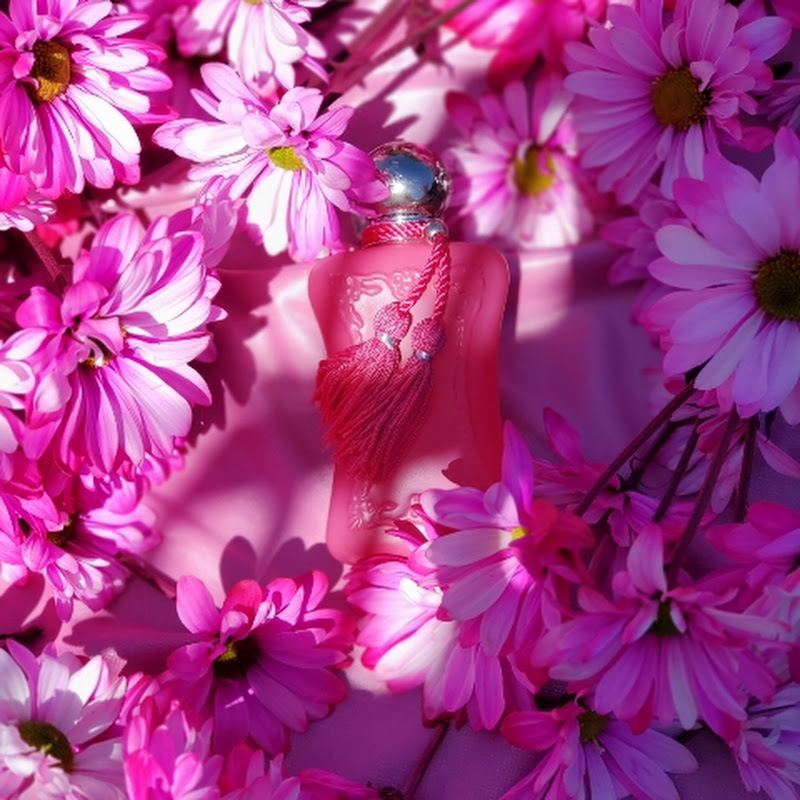 Moon Perfumes