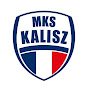 NETLAND MKS Kalisz logo