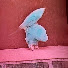 N3JsTi6z7TM-channel-avatar-えかさん