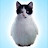 @kitiTaxiSim2 Avatar