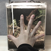 Aquarium in hand