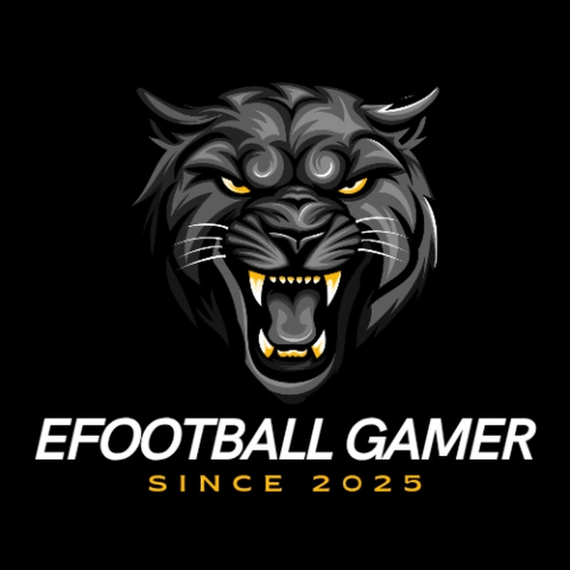 EFOOTBALL GAMER 254