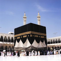Ayesha siddiqui ff
