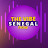 The Vibe Senegal 