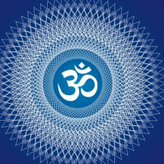 Mahadev Ka Shevak 333