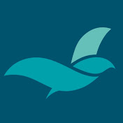 Brighton Waldorf School