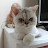 @권소이-z2i